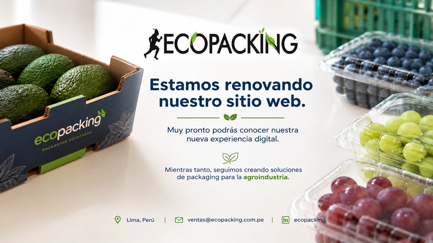 Ecopacking. Estamos renovando nuestro sitio web. Muy pronto podrás conocer nuestra nueva experiencia digital. Mientras tanto, seguimos creando soluciones de packaging para la agroindustria. Lima, Perú. ventas@ecopacking.com.pe. LinkedIn: ecopacking.